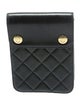 Chanel Quilted Mini Pouch