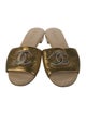 Chanel 2019 Interlocking CC Logo Slides