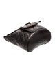 Chanel Duma Backpack