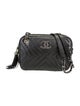Chanel Diagonal Chevron Camera Bag