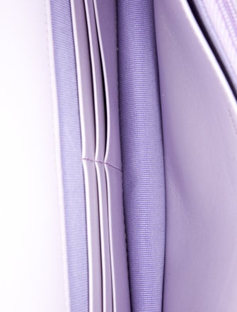 Chanel 2024 Iridescent Rainbow Wallet On Chain