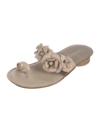 Chanel 2014 Interlocking CC Logo Slides