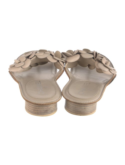 Chanel 2014 Interlocking CC Logo Slides