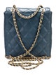 Chanel 2023 Camellia Chain Around Backpack