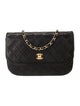 Chanel Quilted CC Double Flap Bag