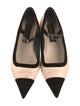 Chanel 2022 Interlocking CC Logo Mary Jane Flats
