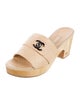 Chanel 2011 Interlocking CC Logo Slides
