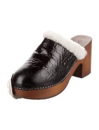 Chanel 2023 Coco Neige Mules