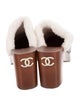 Chanel 2023 Coco Neige Mules