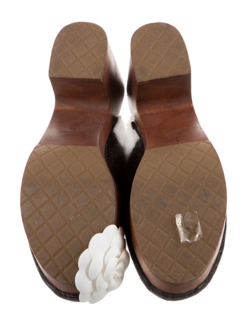 Chanel 2023 Coco Neige Mules