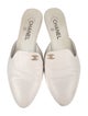 Chanel 2019 Interlocking CC Logo Mules