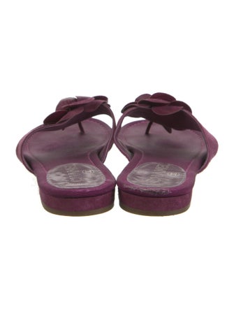 Chanel 2016 Interlocking CC Logo Slides