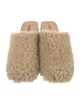 Chanel 2022 Shearling Mules