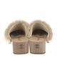 Chanel 2022 Shearling Mules