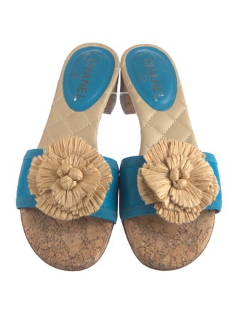 Chanel 2012 Interlocking CC Logo Slides