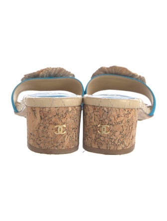 Chanel 2012 Interlocking CC Logo Slides