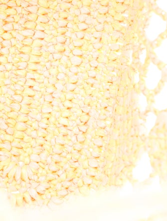 Chanel 2024 Coco Beach Raffia Tote