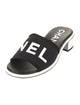 Chanel 2024 Graphic Print Mules