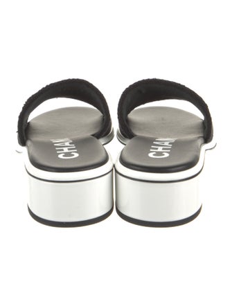 Chanel 2024 Graphic Print Mules