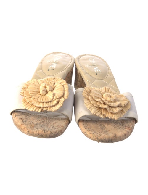 Chanel 2012 Interlocking CC Logo Slides