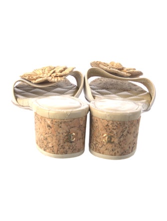 Chanel 2012 Interlocking CC Logo Slides