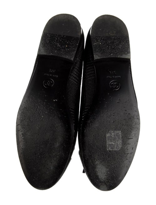 Chanel 2024 Printed Ballet Flats