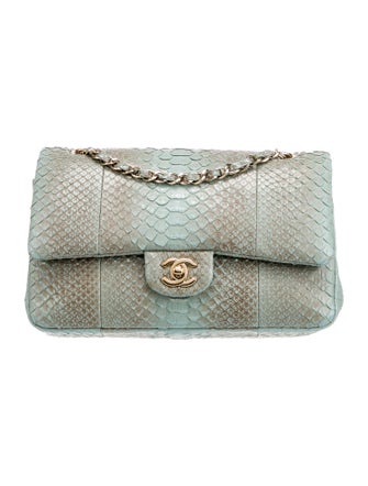 Chanel Classic Medium Python Double Flap Bag