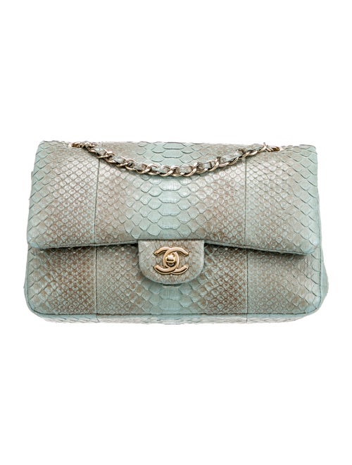 Chanel Classic Medium Python Double Flap Bag