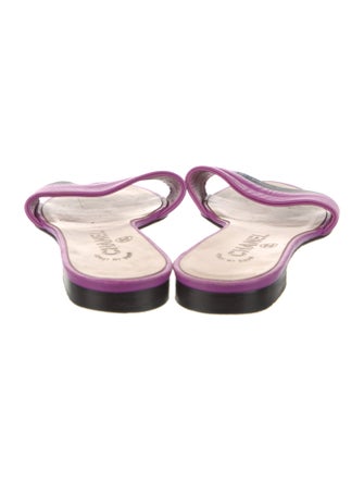 Chanel 2012 Interlocking CC Logo Slides