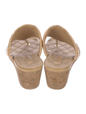 Chanel 2023 Interlocking CC Logo Flip Flops