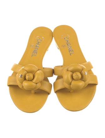 Chanel 2014 Interlocking CC Logo Slides