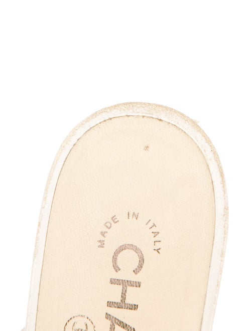 Chanel 2017 Interlocking CC Logo Mules