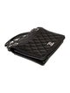 Chanel Quilted Ballerine Flap Bag
