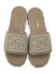 Chanel 2025 Interlocking CC Logo Espadrilles