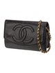 Chanel Timeless Wallet On Chain