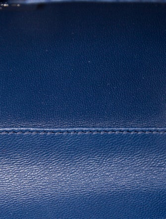 Chanel Metallic Python Chain Around Clutch