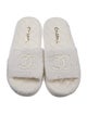Chanel 2021 Interlocking CC Logo Espadrilles
