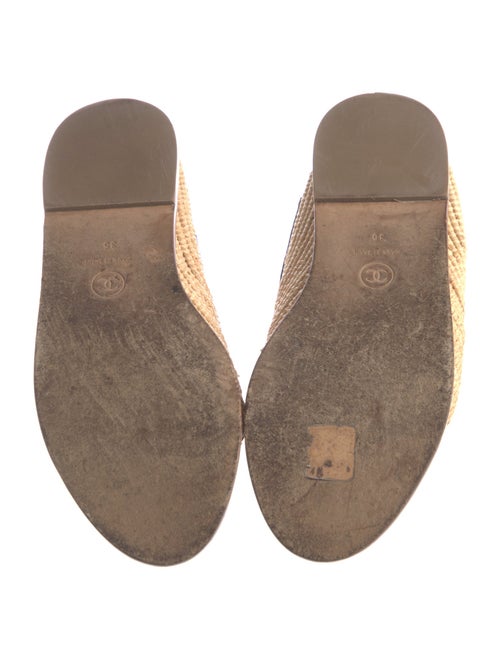 Chanel 2019 Interlocking CC Logo Mules