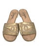 Chanel Interlocking CC Logo Leather Slides