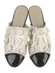 Chanel 2017 Interlocking CC Logo Mules