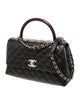 Chanel Medium Coco Handle Bag
