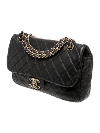 Chanel Medium Precious Jewel Flap Bag