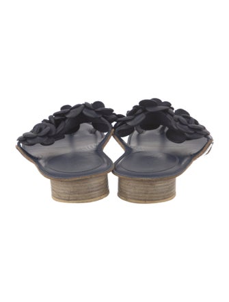 Chanel 2014 Interlocking CC Logo Slides