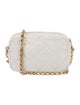 Chanel Medallion Chain Camera Bag