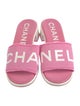 Chanel Graphic Print Slides