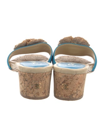 Chanel 2012 Interlocking CC Logo Slides