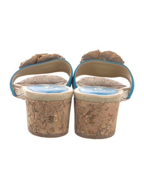 Chanel 2012 Interlocking CC Logo Slides