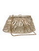 Chanel Metallic Frame Clutch w/ Chain
