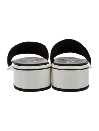 Chanel 2024 Graphic Print Slides