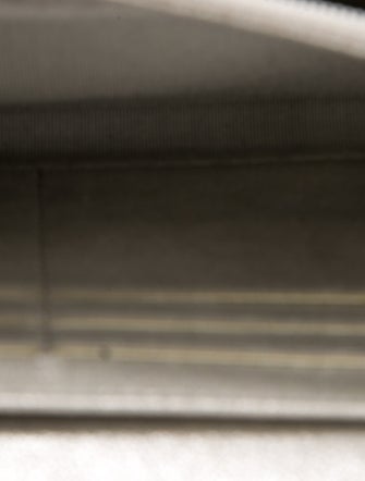 Chanel Iridescent Lizard Embossed Wallet on Chain